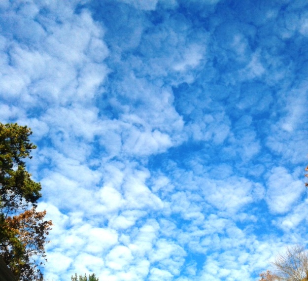 Brilliant  Blue Sky and Fluffy Clouds